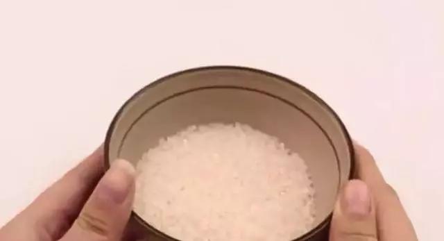 老鼠最怕同伴死在哪里,家里发现老鼠要把它弄死么