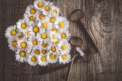 学习心理咨询的入门书籍,咨询师入门从零开始学习心理咨询