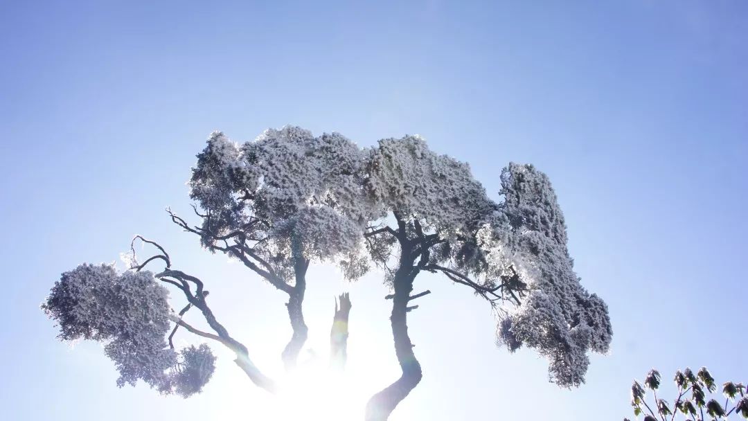 2019已过去迎接新的2020已到来,广西之旅2019