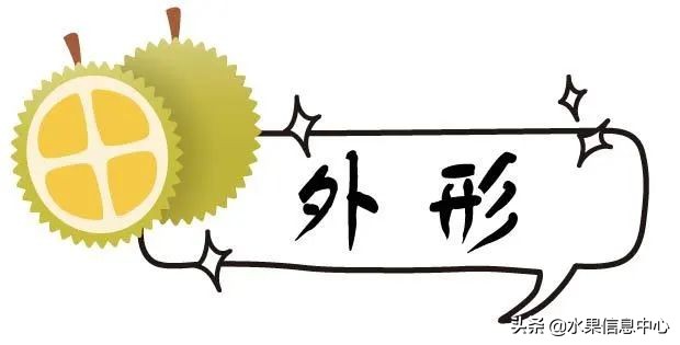 托曼尼猫山王榴莲价格,泰国托曼尼榴莲和猫山王区别