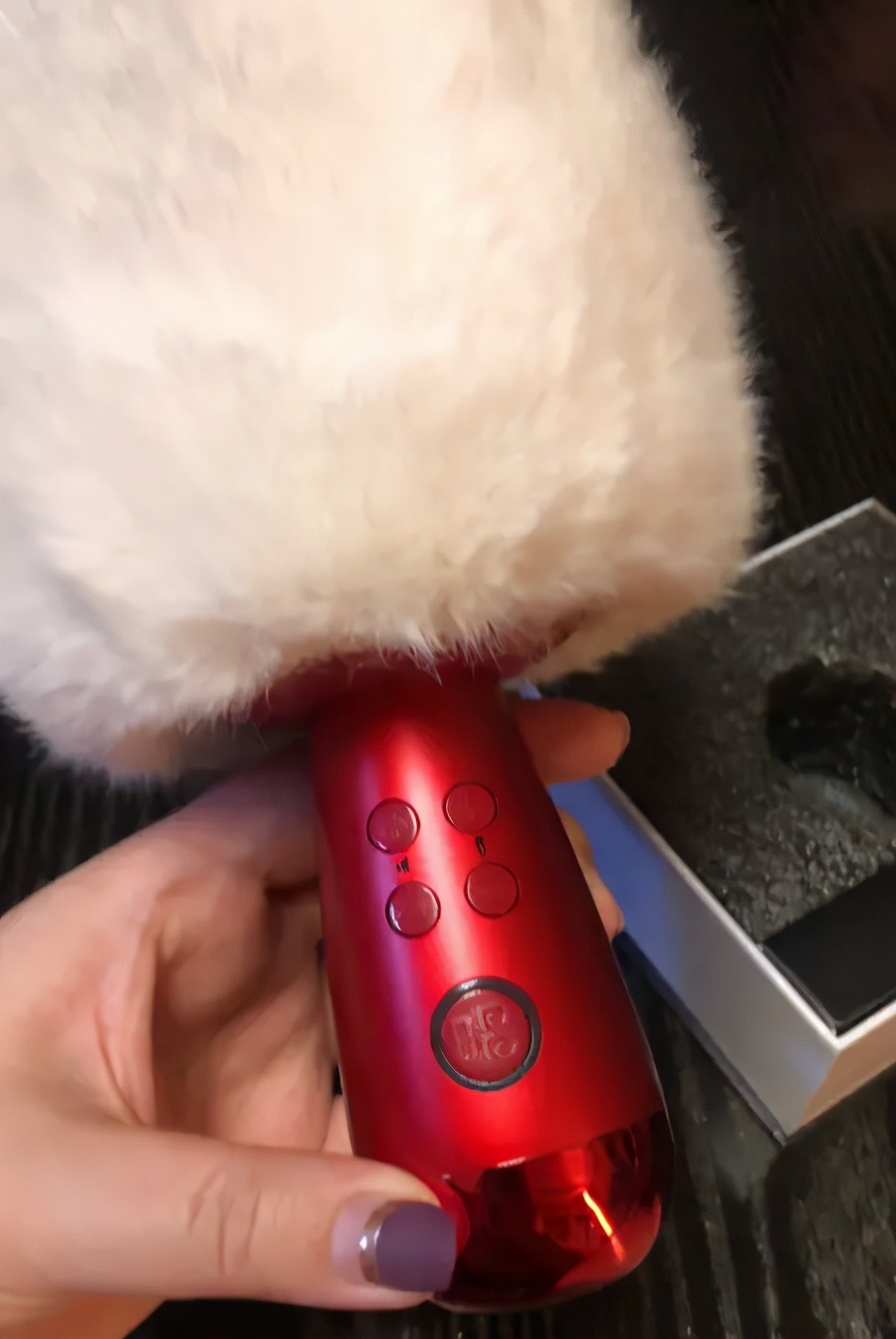 jblkmc300麦克风和唱吧小巨蛋,唱吧k歌宝小巨蛋麦克风g2pro