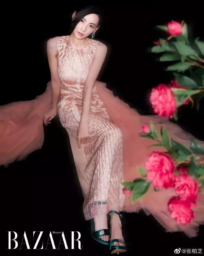 张柏芝多少岁离婚,张柏芝离婚多少岁