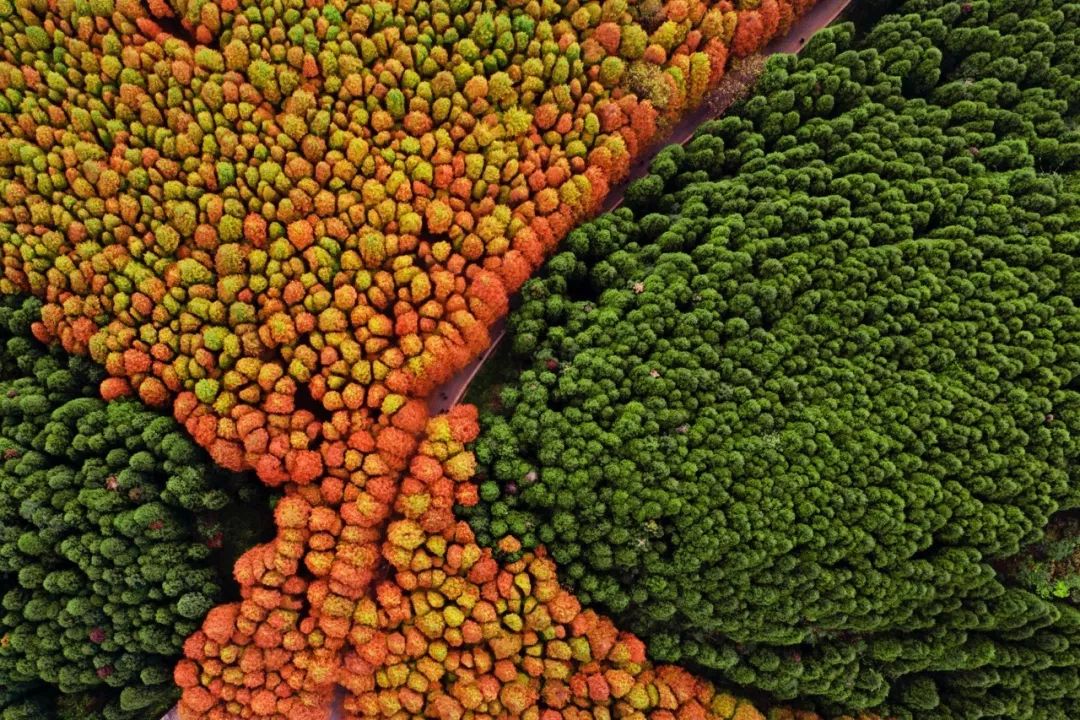 最值得去的10个国外旅行地,国内最值得去的二十个城市