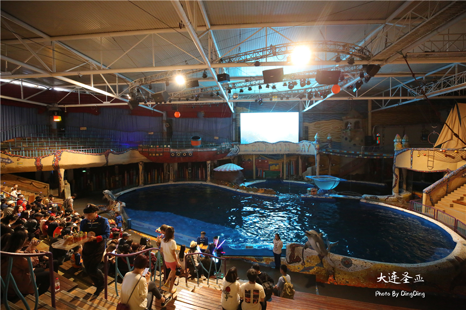 北方明珠活力四射的浪漫之都大连，国内最具特色的海洋世界圣亚