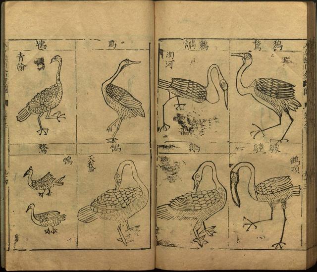 李时珍与本草纲目ppt课件,神农本草经正版李时珍书籍