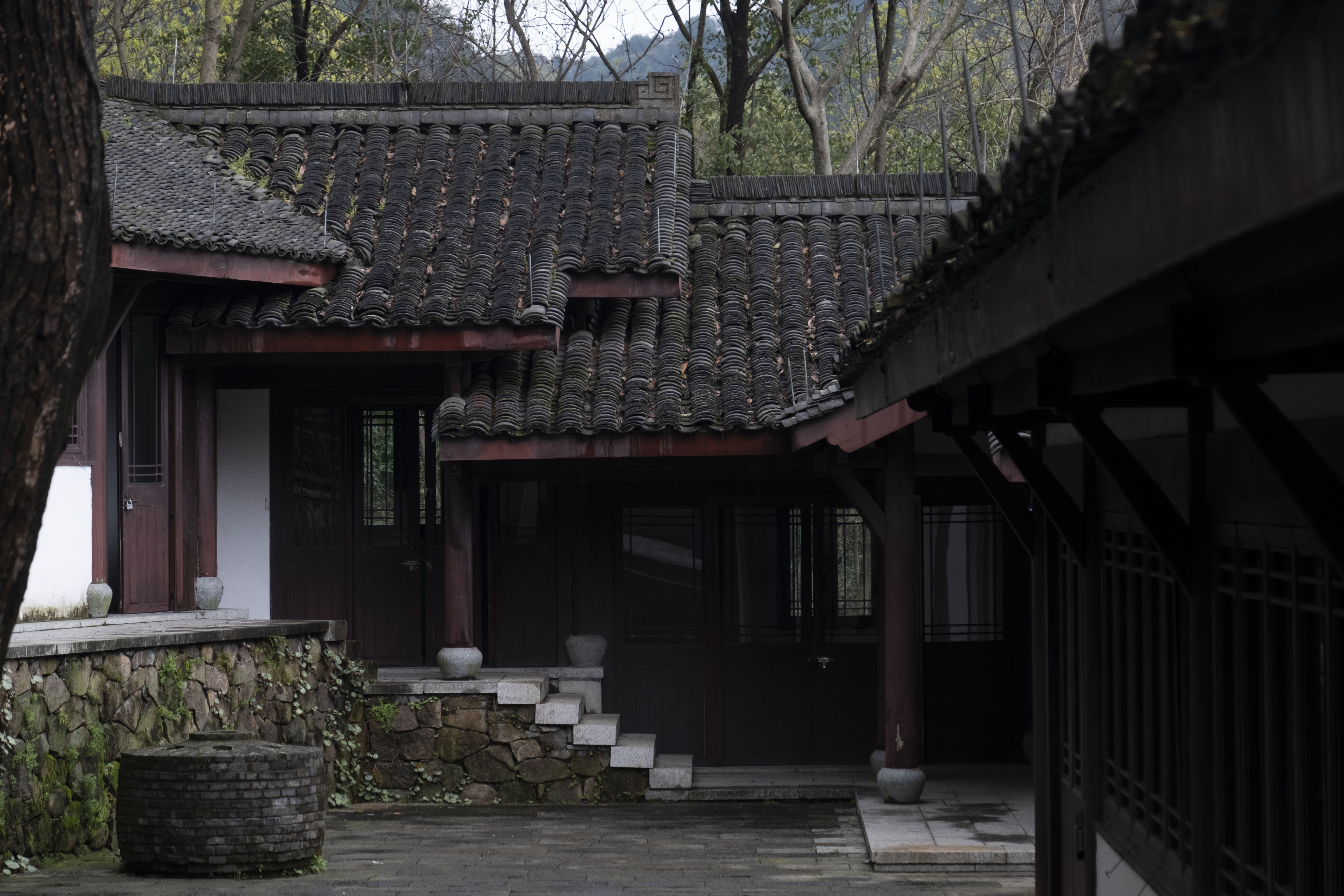 西湖龙井春茶季,龙井茶西湖明前春茶