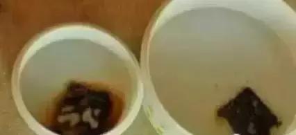 阿胶糕为什么网上那么便宜,为什么阿胶糕有的贵有的那么便宜