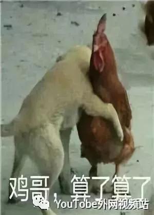 女朋友比你有钱是什么体验知乎,知乎过万点赞