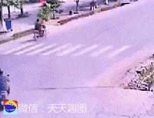 搞笑动图gif狗,搞笑动图gif兔子