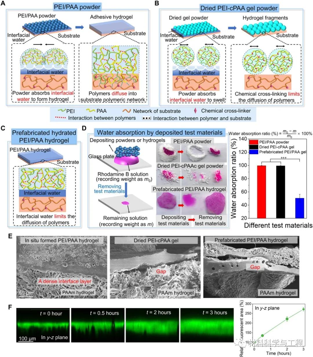 Science子刊：涂点粉，加点水，2秒就让伤口愈合、止血？