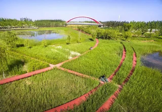 沣西新城未来的潜力,沣西新城未来科技城规划