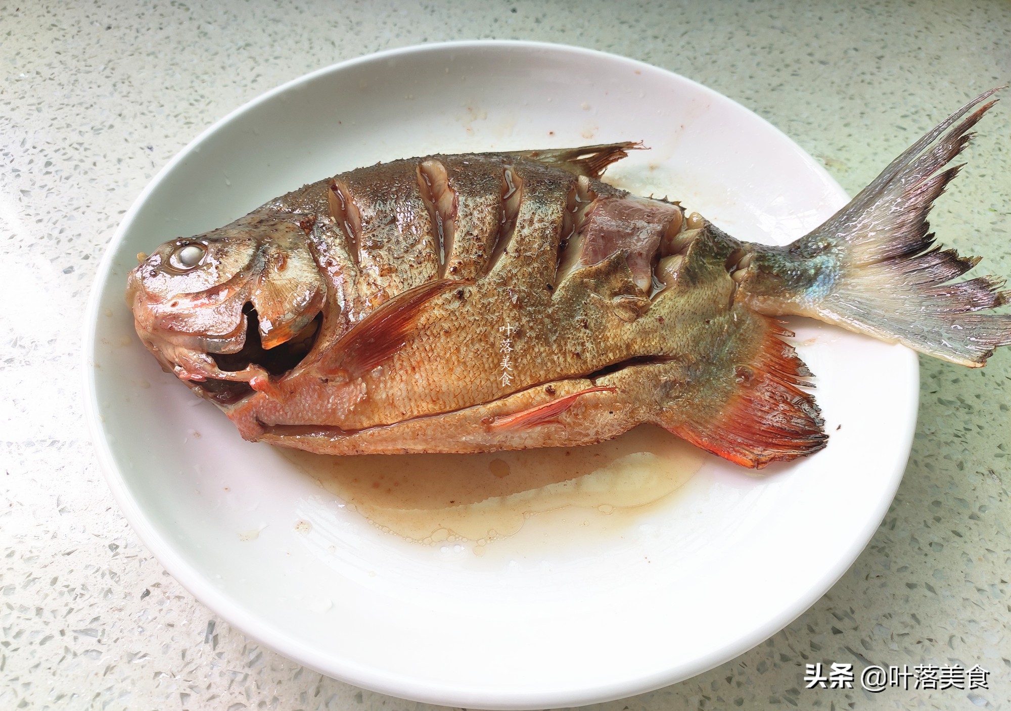 清蒸红鲳鱼做法家庭版,清蒸红鲳鱼的配方