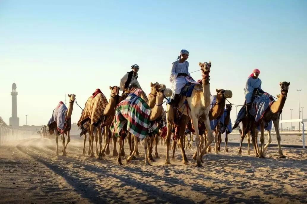 卡塔尔和迪拜旅游哪个好,卡塔尔迪拜之旅