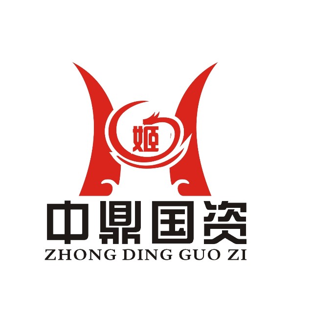 涓紟璇佸埜鎶曡祫鍜ㄨ鏈夐檺鍏徃,涓紟鍥借祫