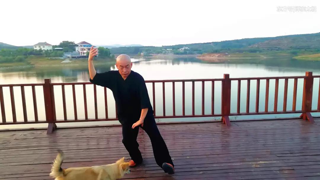 太极拳能治什么病?远比你想象中的要多