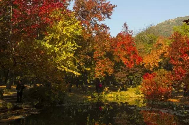 六月我们一起去旅行,九月带你去旅行