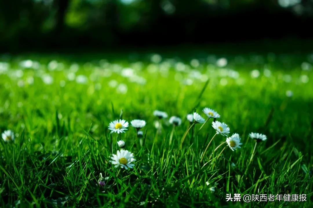 被毒隐翅虫咬怎么治疗,中了隐翅虫毒有什么感觉