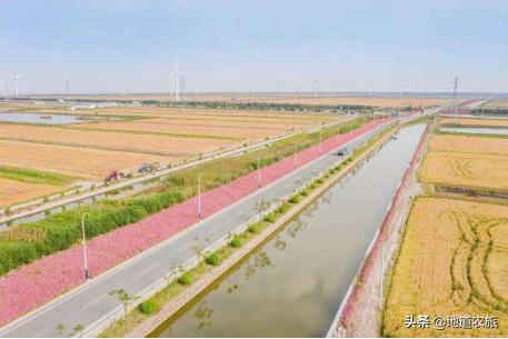 浙江慈溪现代农业产业园大胆创新改革，用人才带动发展