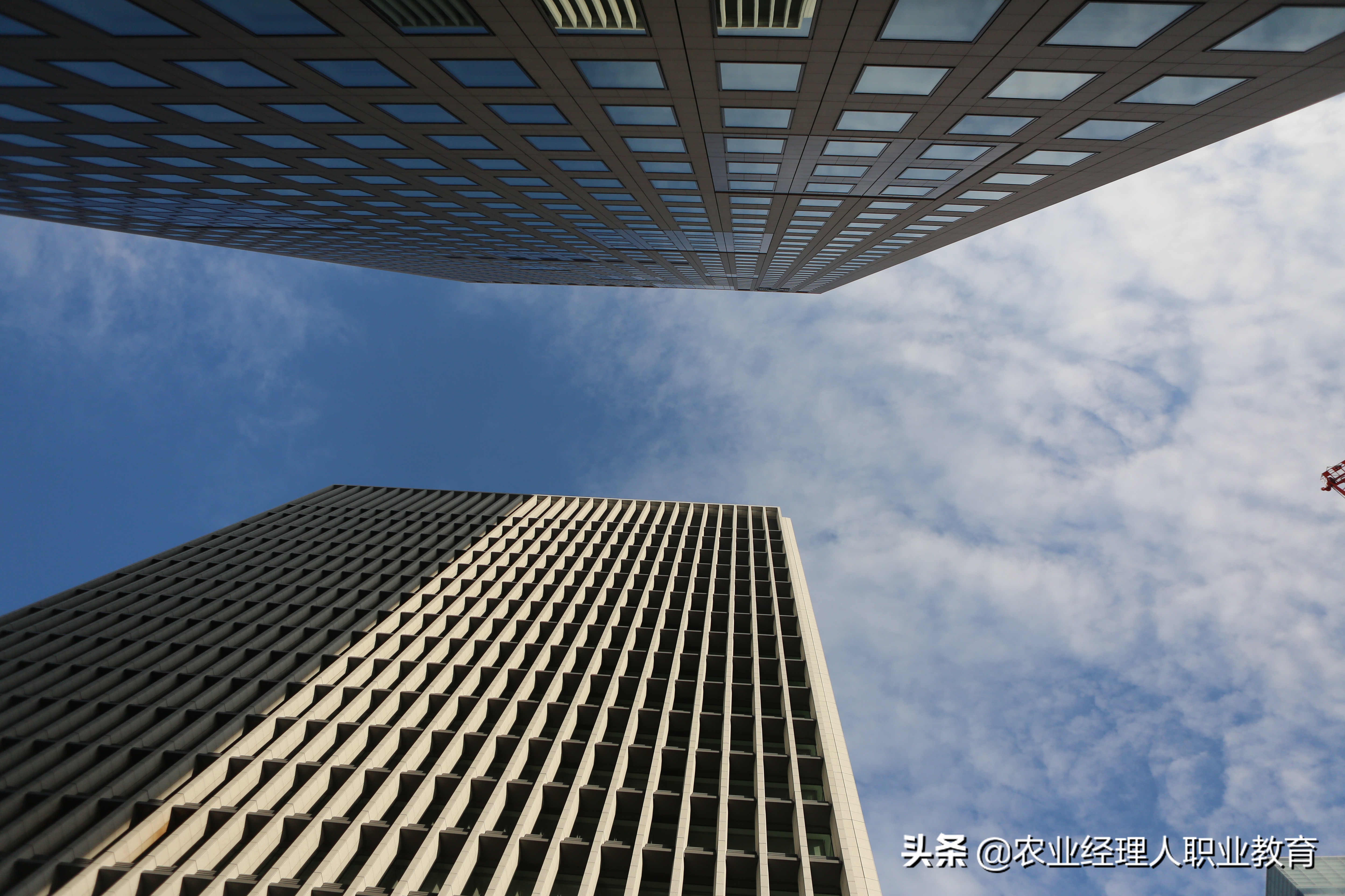 日本的精致化农业之路,全球最先进农业模式