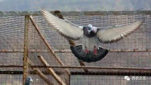 看这里，安全度过“黑三月”