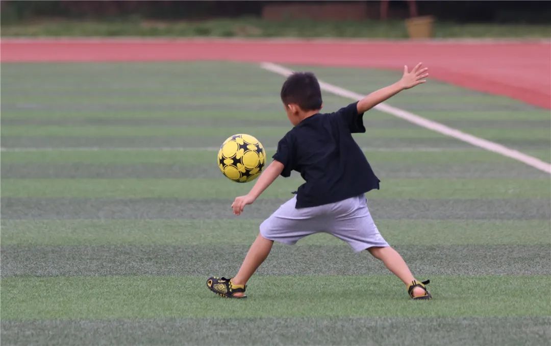 平乐篮球训练营,平乐训练营