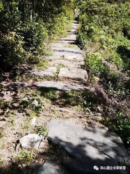 同心圆企业家联盟视频,企业家联盟2019