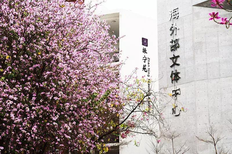 深圳桃源居中澳实验学校港澳班,深圳桃源居中澳实验学校研学