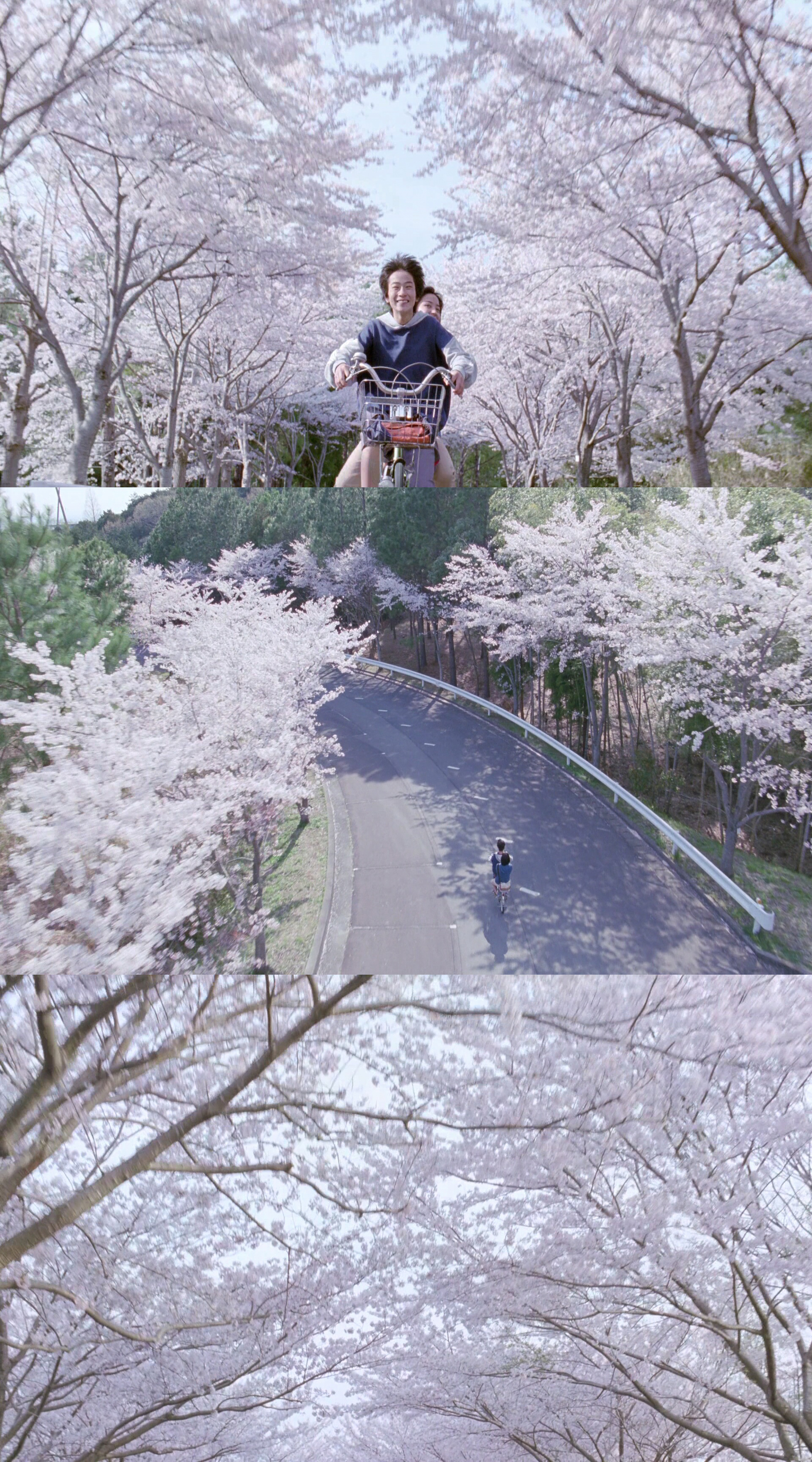 海街日记类似推荐,与海街日记相似的影片