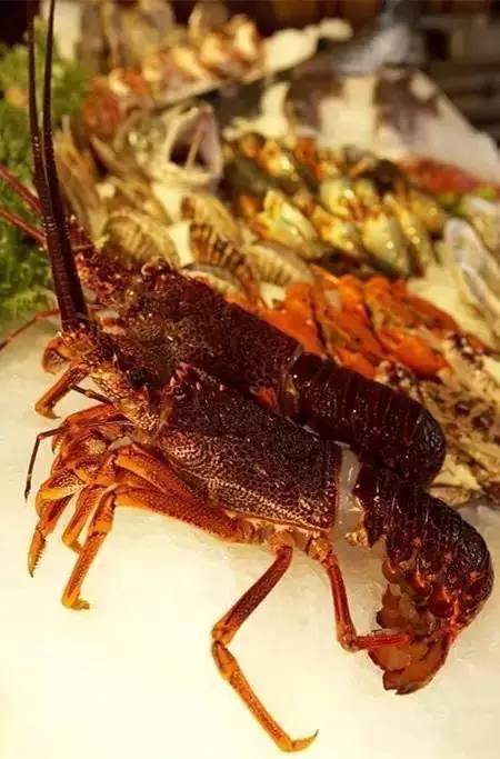 武汉最贵的食物,武汉最贵的特产