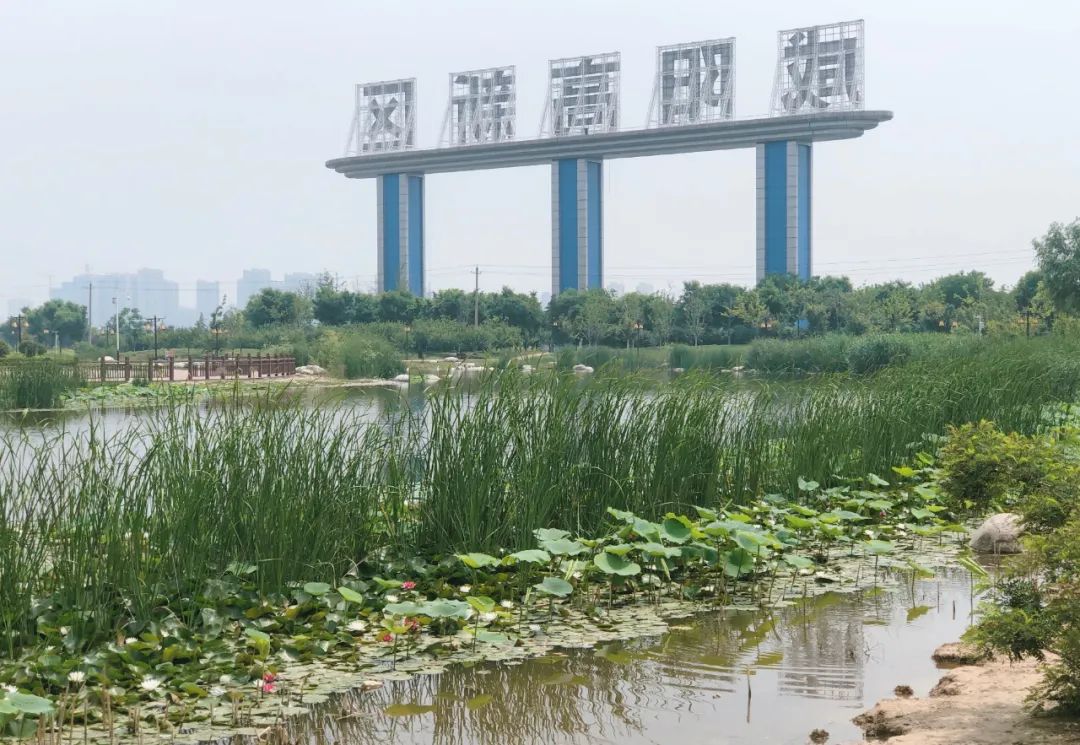 西安草滩马尔代夫,咸阳沙滩马尔代夫