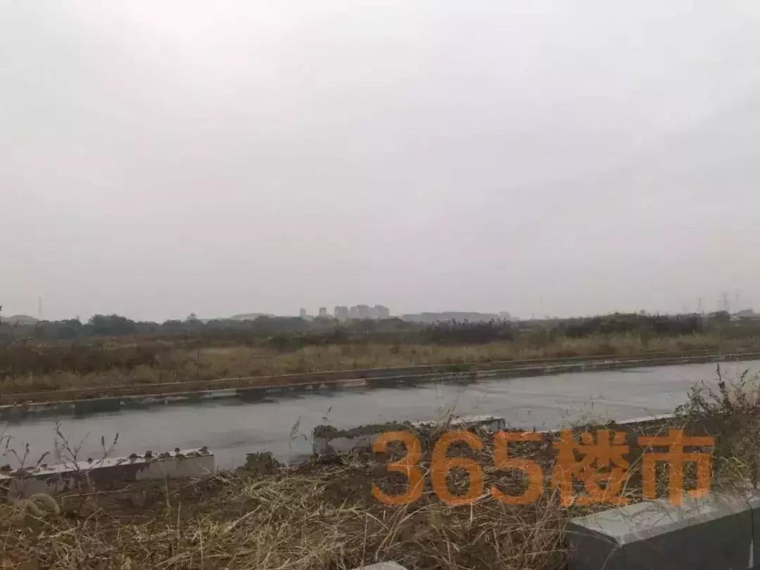 江宁华谊小镇最新消息,华谊兄弟南京电影小镇怎么样