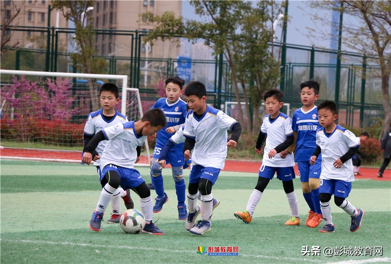 2019徐州云龙区区长杯,2019江苏省长杯校园足球赛
