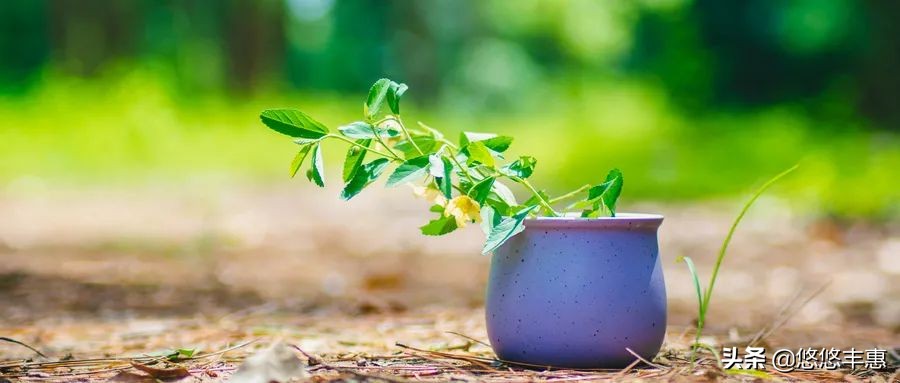 提醒插画素材,提醒动漫