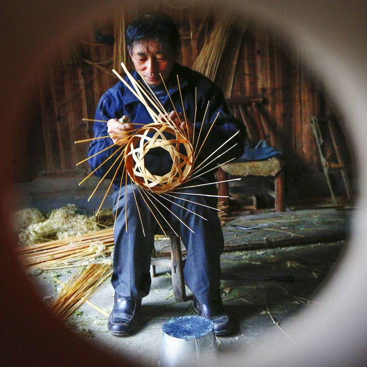 8月向日葵云海（徽州百工、黟县的朋友圈、瓷都景德镇）采风