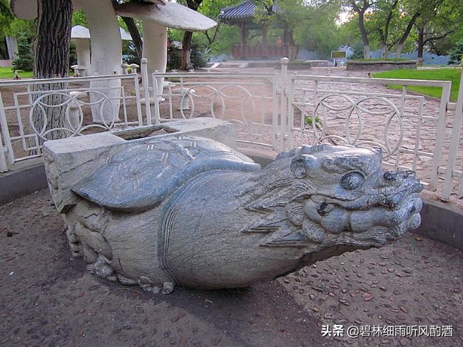 齐齐哈尔龙沙公园里的“石龟”，我要还它真面目
