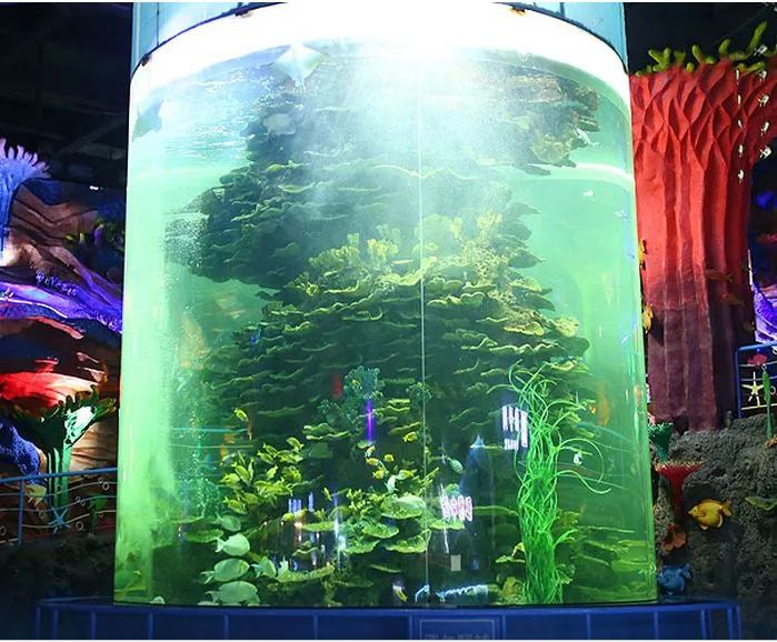 济南动物王国一日游详细攻略,济南一日游动物园