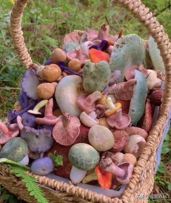 高铁可以在前一个站坐车么,高铁坐过站出得去吗