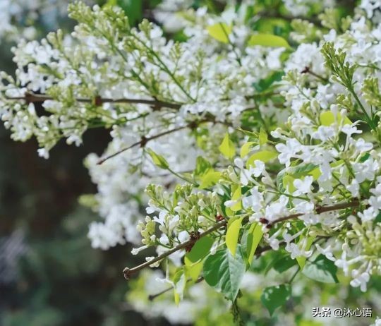 走了下坡路腿软怎么办,走在下坡路上
