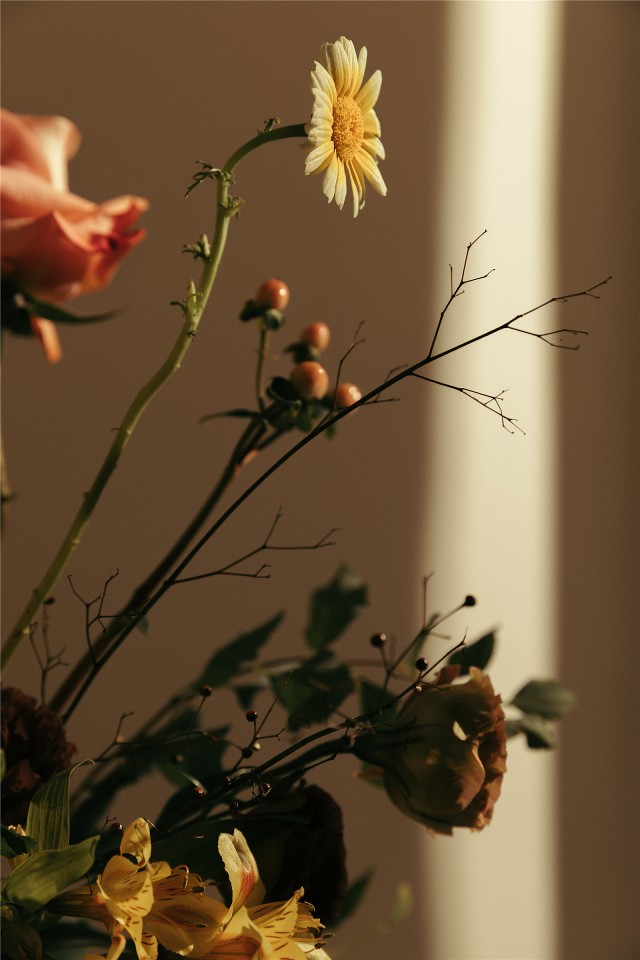 仙气森系梦幻清新写真,写真森系小清新风格照片