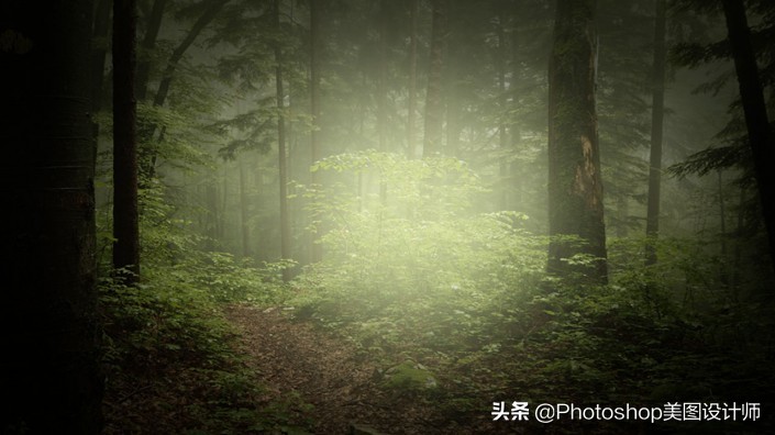 新手怎么快速学会ps,新手如何学习ps