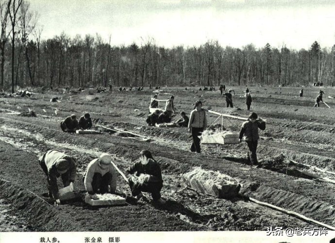 1973年人民画报：毛*东泽**时代工农和体育健儿