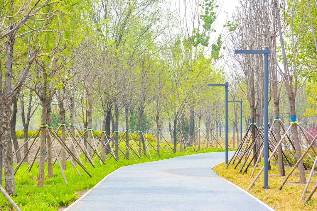 北京新开40个公园在哪里,北京十佳公园