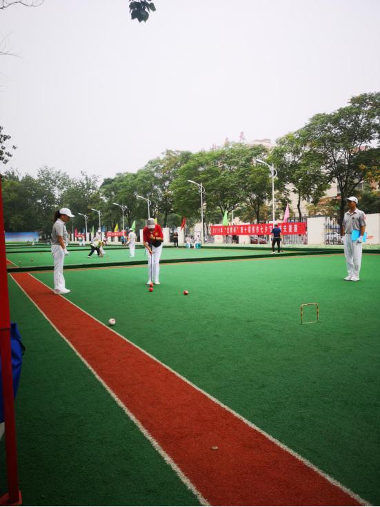 2017年飞龙湖杯门球锦标赛,玉皇杯全国门球大赛