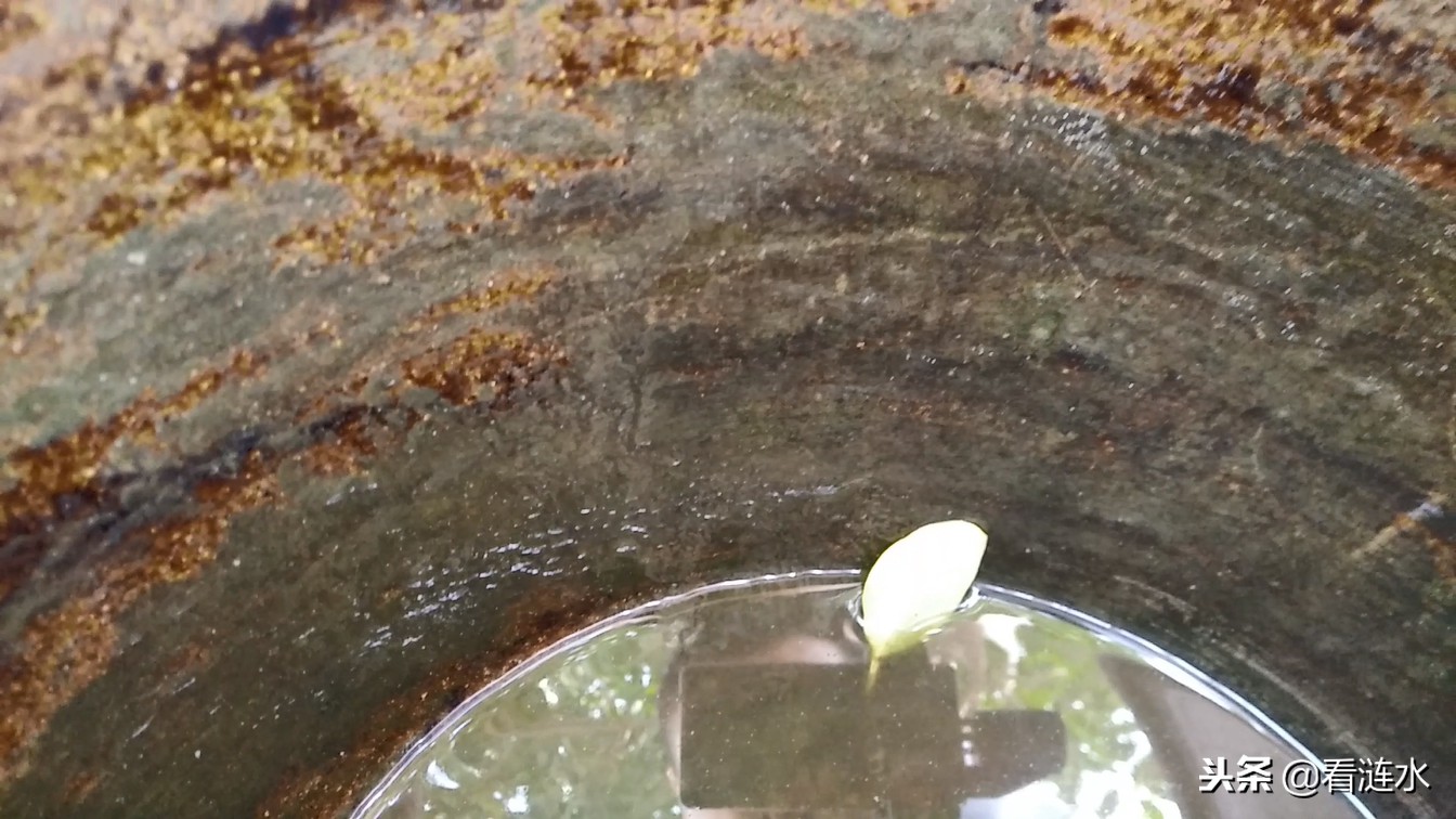 农村水缸里起青苔如何去除,水缸除青苔最好方法