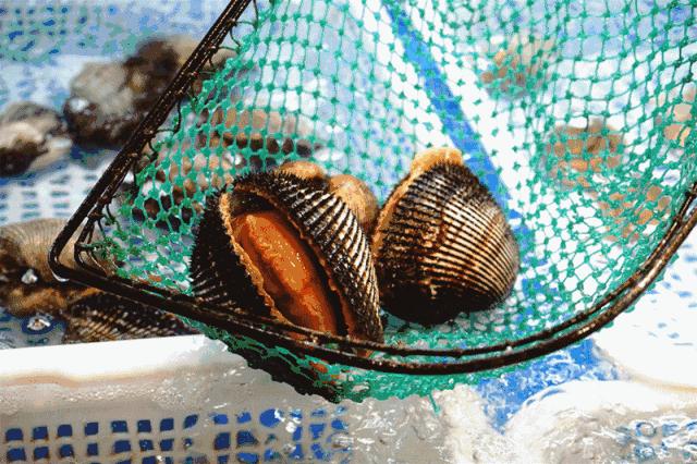 南通人过去一年最爱去的这36家餐厅,都在这儿了