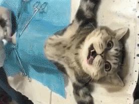 有过夫妻生活，那层膜就一定会破吗？