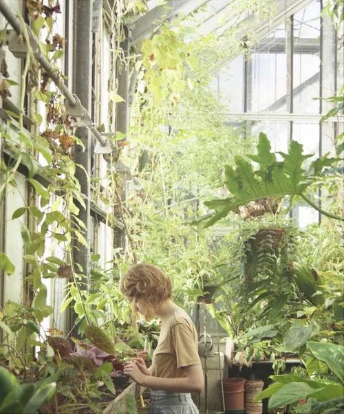 阳光房太热怎么办,阳光房夏天太热怎么处理