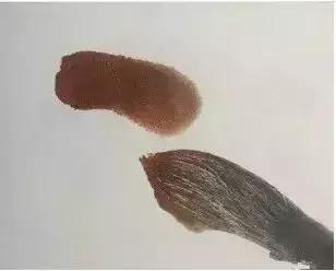 写意花鸟配景石的画法,干货写意花鸟类的画法