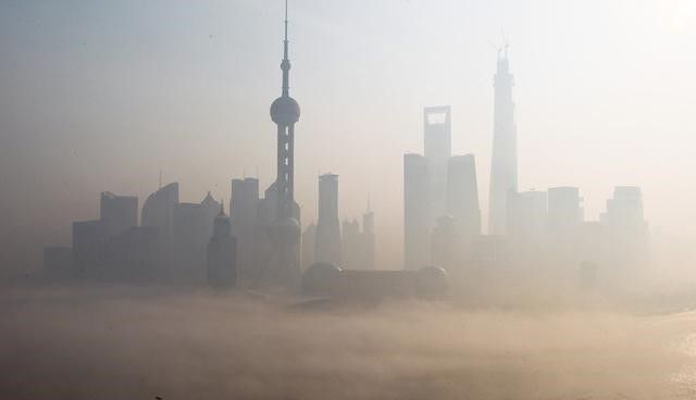 元素家族全放送,元素家族在线观看