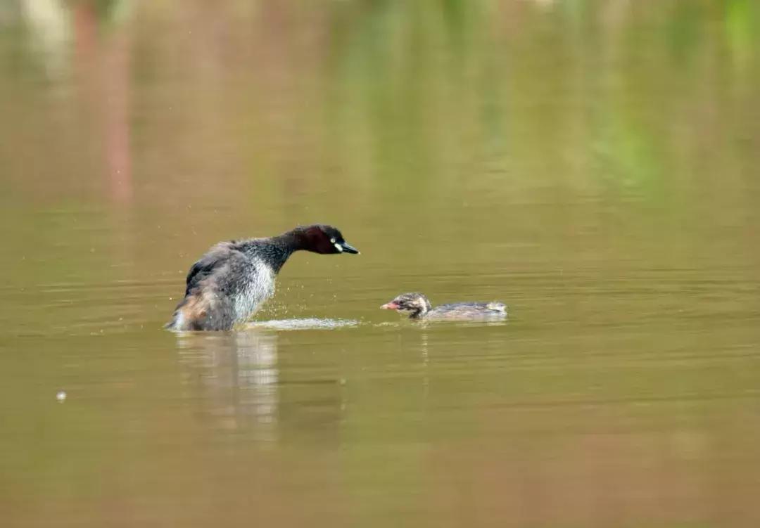 庆祝新中国成立70周年新闻报道,庆祝新中国成立70周年特辑宣讲